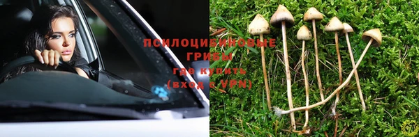 твердый Алзамай