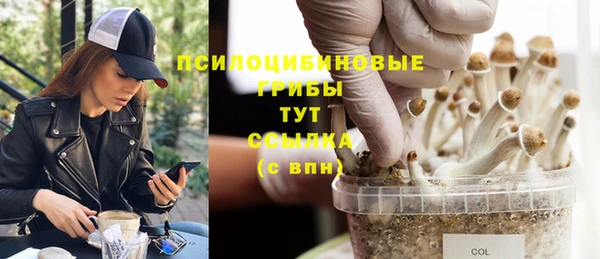 твердый Алзамай
